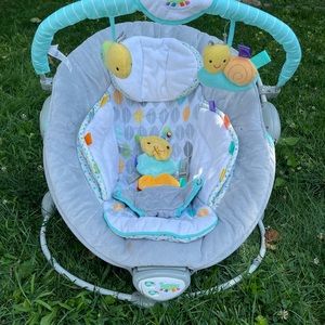 Taggies Soft'n Snug Bouncer
